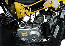 Дитячий квадроцикл із двигуном внутрішнього згоряння Ramiz Quad RENEGADE HIPERFECT 110CC, фото 6