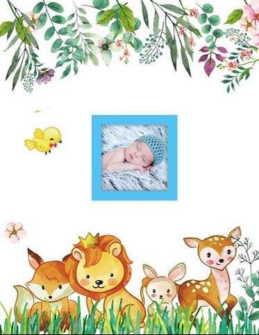 Фотоальбом "UFO" №PP-46200 10х15х200 Baby boys(24), фото 1