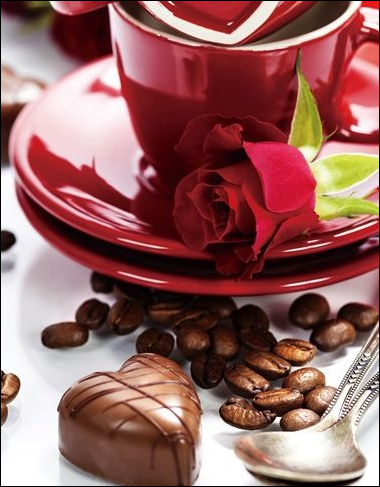 Фотоальбом "UFO" №PP-46200 10х15х200 Chocolate(24), фото 1