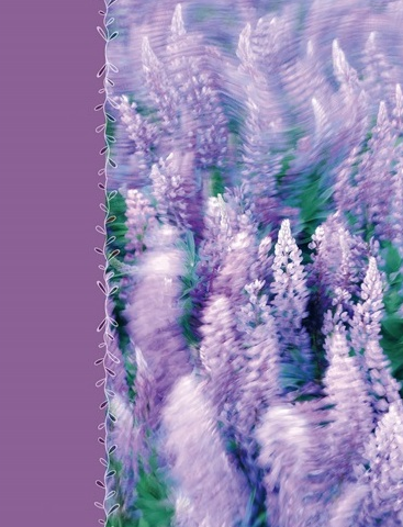 Фотоальбом "UFO" NoPP-46200 10х15х200 Lavenders (24), фото 1