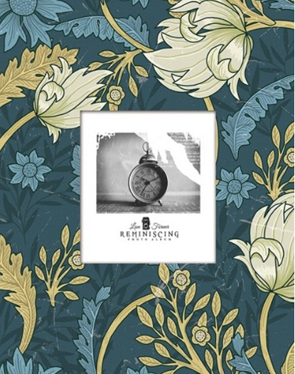 Фотоальбом "UFO" №PP-46200 10х15х200 Limonta(24), фото 1