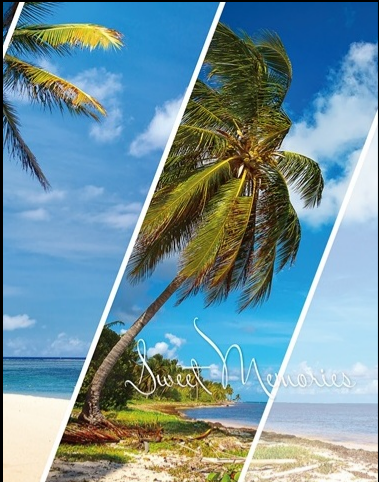 Фотоальбом "UFO" №PP-46200 10х15х200 Paradise(24), фото 1