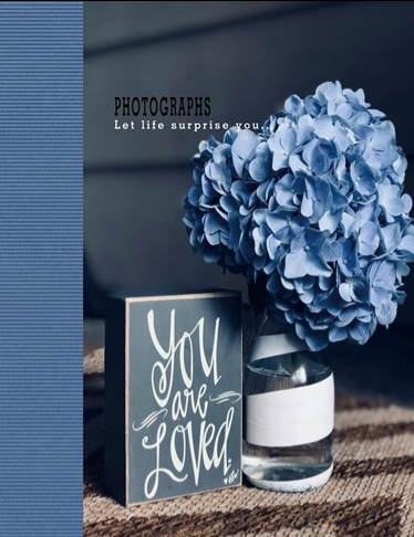 Фотоальбом "UFO" №PP-46200 10х15х200 Hydrangea(24), фото 1