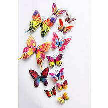 Об'ємні 3D метелики на стіну (шпалери) для декору подвійні Веселка кольорові, фото 2