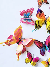 Об'ємні 3D метелики на стіну (шпалери) для декору подвійні Веселка кольорові, фото 5