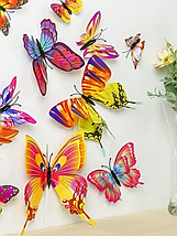 Об'ємні 3D метелики на стіну (шпалери) для декору подвійні Веселка кольорові, фото 3