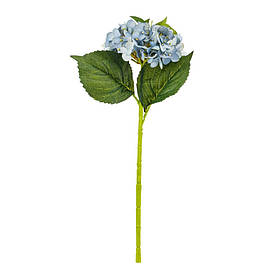 Букет "Гортензія великолиста", аква ELISEY