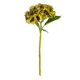 Букет "Гортензія кімнатна", салатова ELISEY