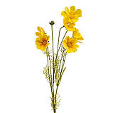 Космея жовта, 90 см ELISEY, фото 2