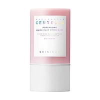 Глиняна маска SKIN1004 Madagascar Centella Poremizing Quick Clay Stick Mask для очищення пор 27 г