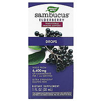 Nature's Way, Бузина самбука, краплі, 1 рідка унція (30 мл)