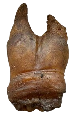 Натуральні ласощі для собак сушена нога бичка з житловою "Bethowen" (Бетховен) 1 шт.