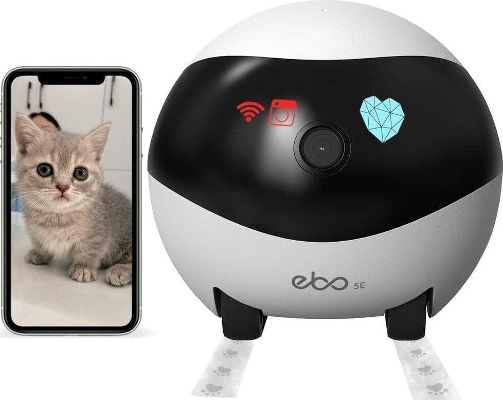 Няня Енабот EBO