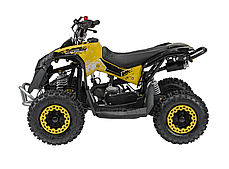 Квадроцикл із двигуном внутрішнього згоряння Ramiz Quad RENEGADE HIPERFECT 49CC, фото 4
