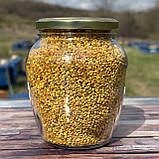 Пилок бджолиний квітковий 2025 р весняний солодкий скляна баночка 450 грам, фото 2