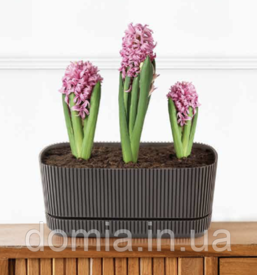 Горщик для квітів PERA балконний 3 л KARASU, Туреччина KRS-246, фото 1