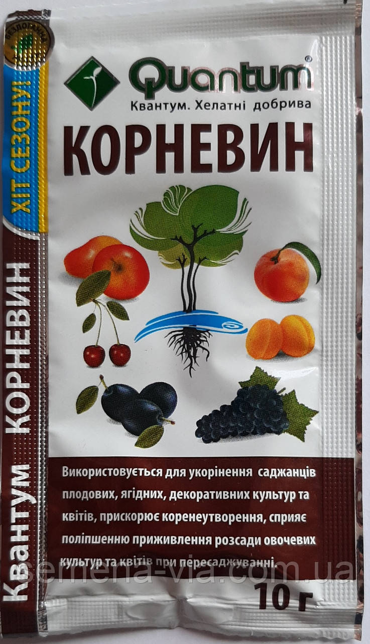 Корневін Квантум 10 г.