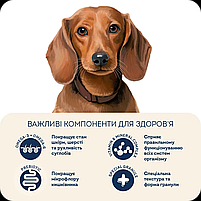 Сухий корм для дорослих собак малих порід Качка та індичка Grain-free hypoallergenic, 1.6 кг, фото 4
