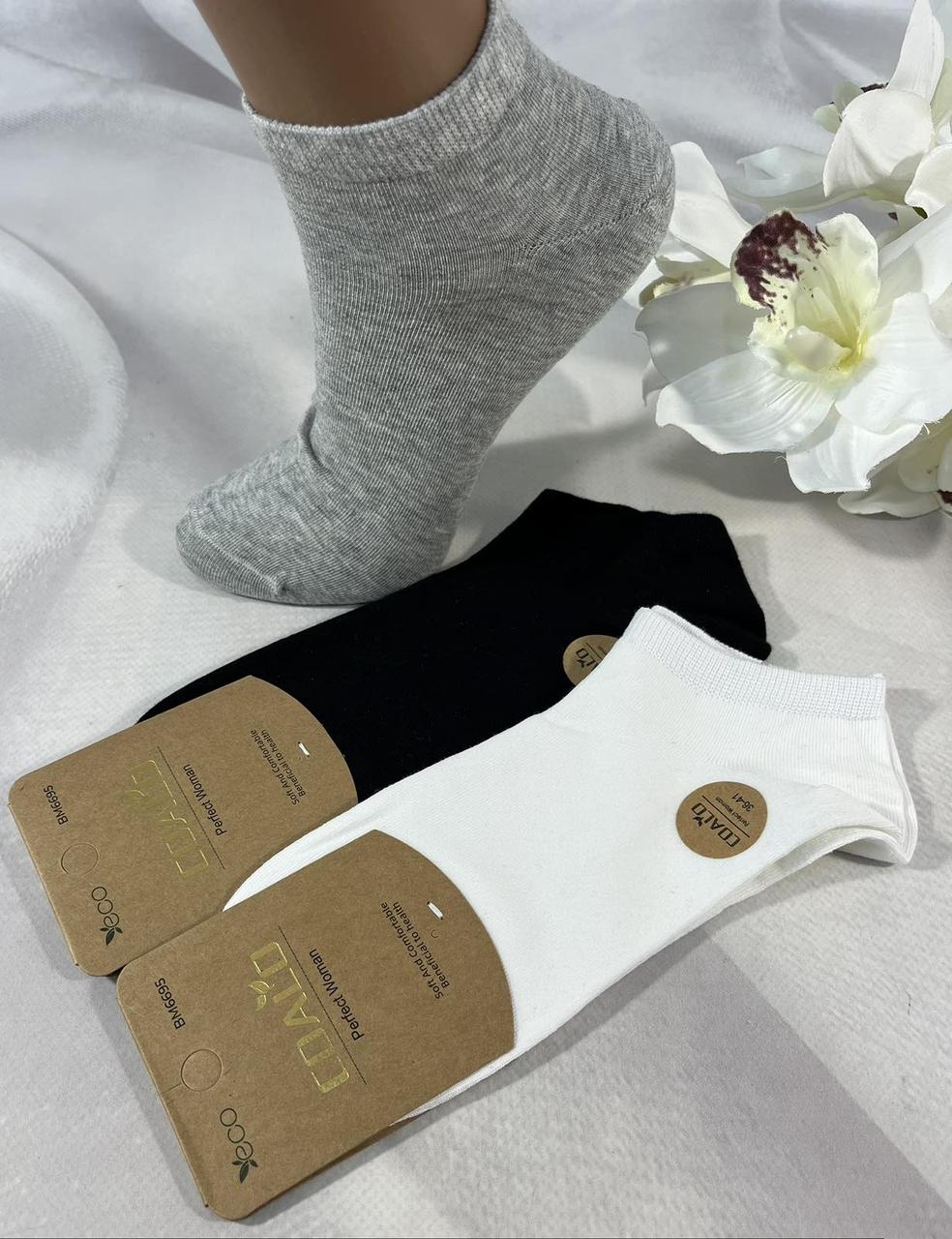 Шкарпетки жіночі Coalo Cotton Розмір 36-41