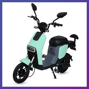 Скутер на акумуляторі двоколісний для дорослих і підлітків Profi MES 1023-5 OSHIKA/BAT 48V20AH 500W М'ятний