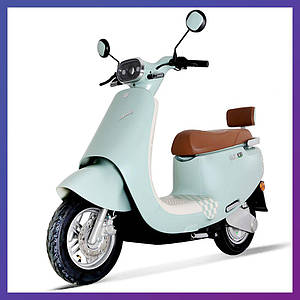 Скутер на акумуляторі двоколісний для дорослих і підлітків Profi MES 1028-4 VIVA 72V23AH 600W М'ятний