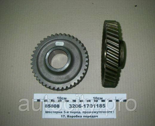Шестірня 5 пер. валу пром. 3206-1701185 (Z=41, Д-245), фото 1