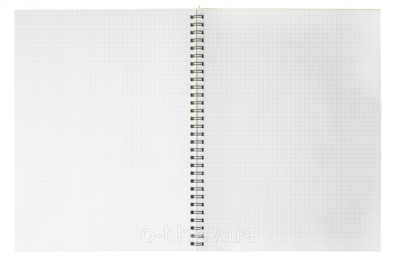 Блокнот зошит для нотаток GLOSS А4, 80 л.,клітинка, пластикова обкладинка BM.24452151, фото 1