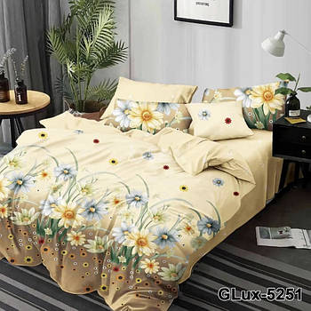 Двоспальна постільна білизна Тет-@-Тет В-1573а бязь (економ, нестандартний)