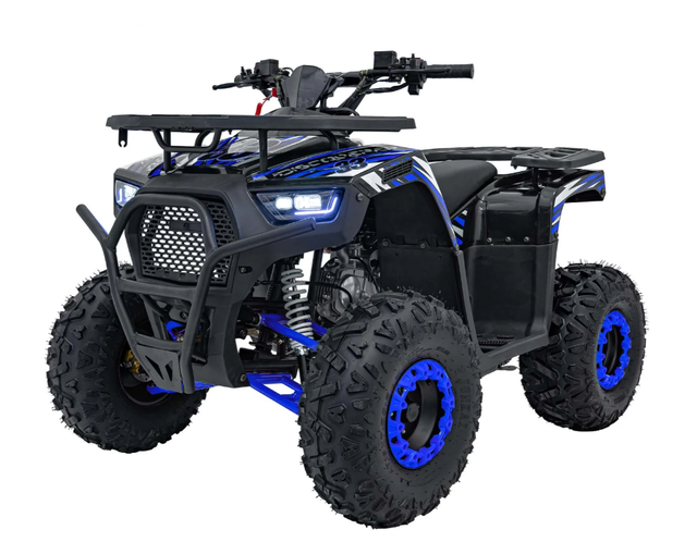 Квадроцикл с двигателем внутреннего сгорания Ramiz Quad 120CC DISCOVERER