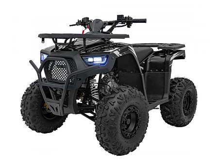 Квадроцикл із двигуном внутрішнього згоряння Ramiz Quad 120CC DISCOVERER, фото 1