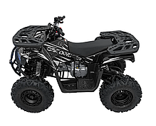 Квадроцикл із двигуном внутрішнього згоряння Ramiz Quad 120CC DISCOVERER, фото 6