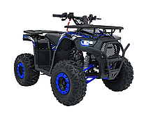Квадроцикл із двигуном внутрішнього згоряння Ramiz Quad 120CC DISCOVERER, фото 5