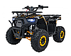 Квадроцикл із двигуном внутрішнього згоряння Ramiz Quad 120CC DISCOVERER, фото 7