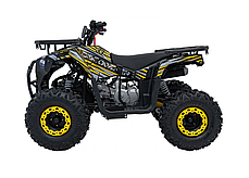 Квадроцикл із двигуном внутрішнього згоряння Ramiz Quad 120CC DISCOVERER, фото 4