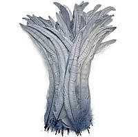 Перо півень, ширина 2,5 см, колір Grey, 1 шт.