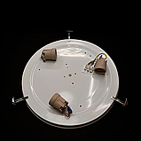 Настінно-стельовий світильник накладний E27 3х60W Vesta 25320, фото 2