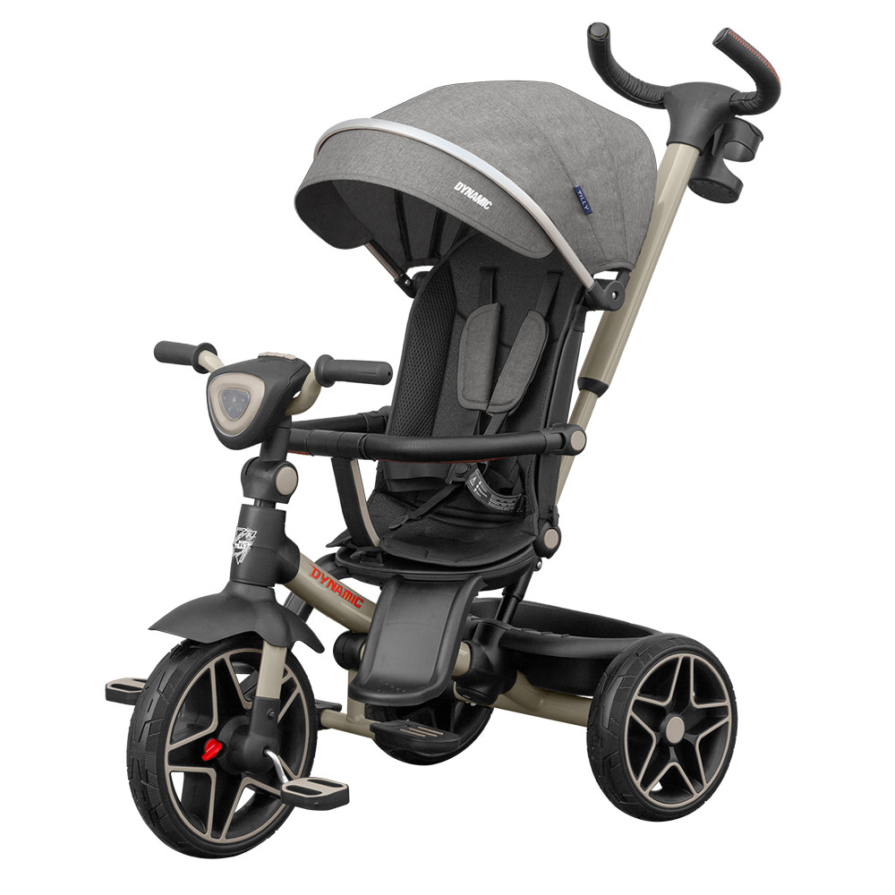 Велосипед триколісний з батьківською ручкою TILLY DYNAMIC T-3810 Grey Сірий, фото 1