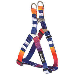 AnimAll (ЕнімАлл) - Шлея нейлонова з яскравим малюнком в синю полоску для собак XS