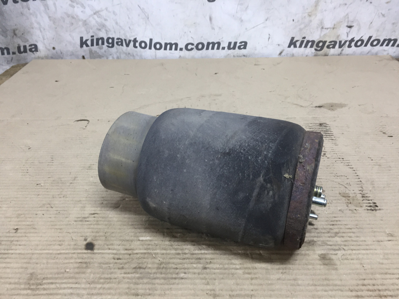 Пневмобалон BMW X5 E53 37126750356, фото 1