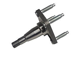 Ступиця Ланос, Сенс задня (цапфа шпиндель) PHC