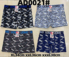 Боксери чоловічі з Бавовна, Шорти боксери «Стиль» 46-52 (0021)