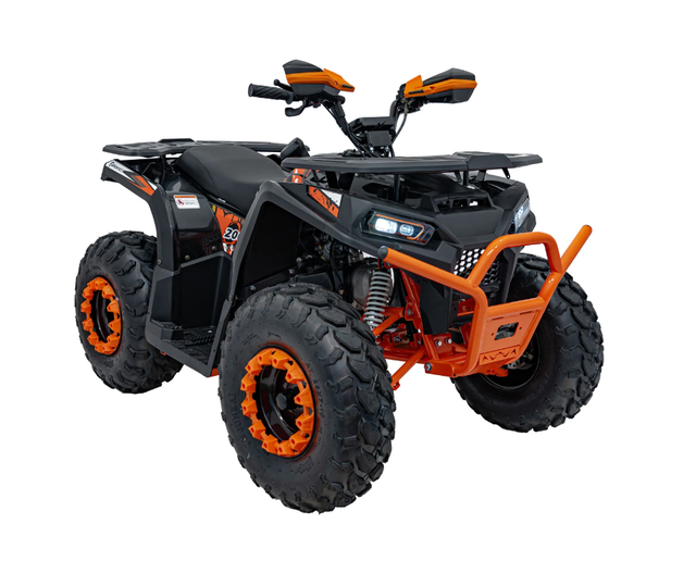 Квадроцикл с двигателем внутреннего сгорания Ramiz Quad 200CC PRO RIDER