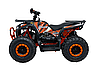 Квадроцикл із двигуном внутрішнього згоряння Ramiz Quad 200CC PRO RIDER, фото 7