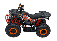 Квадроцикл із двигуном внутрішнього згоряння Ramiz Quad 200CC PRO RIDER, фото 4