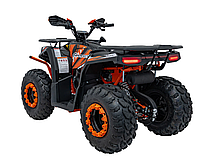 Квадроцикл із двигуном внутрішнього згоряння Ramiz Quad 200CC PRO RIDER, фото 5