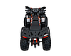 Квадроцикл із двигуном внутрішнього згоряння Ramiz Quad 200CC PRO RIDER, фото 8