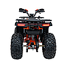 Квадроцикл із двигуном внутрішнього згоряння Ramiz Quad 200CC PRO RIDER, фото 10