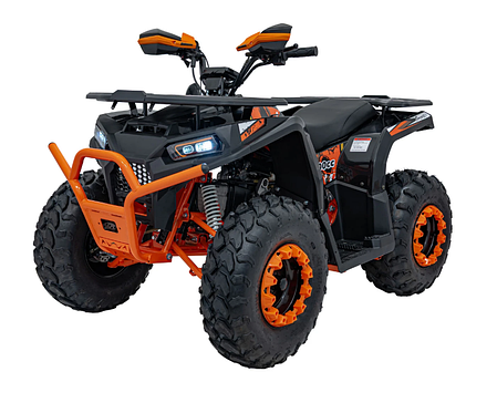 Квадроцикл із двигуном внутрішнього згоряння Ramiz Quad 200CC PRO RIDER, фото 1