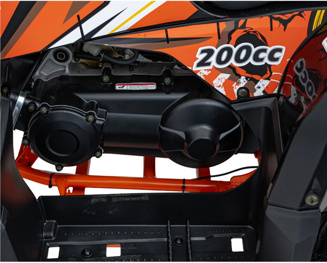 Квадроцикл с двигателем внутреннего сгорания Ramiz Quad 200CC PRO RIDER