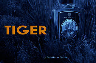 Zoologist Perfumes Tiger духи 60 ml. (Зоологіст Парфумс Тигр), фото 3